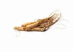 White Korean Ginseng Root