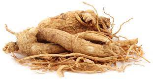 White Korean Ginseng Root