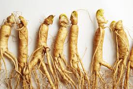 White Korean Ginseng Root